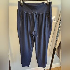 Old Navy Powersoft Highrise Joggers Medium, Blue New With Tags